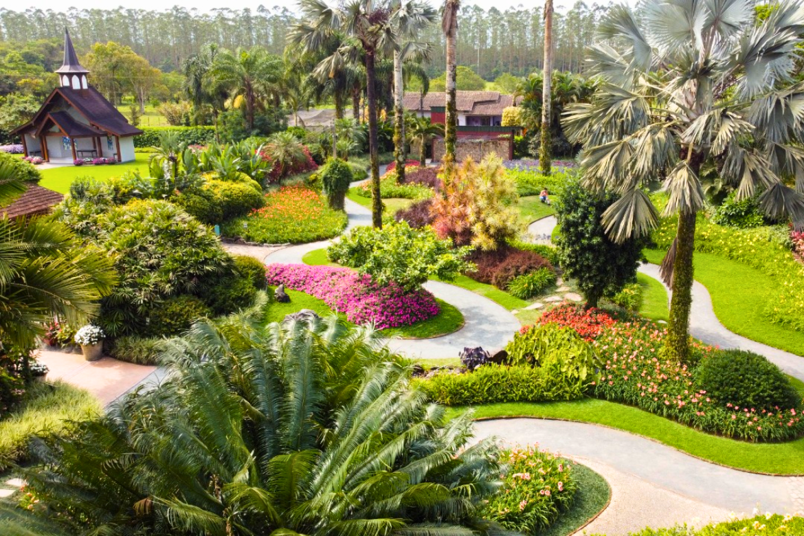 Flores Hemerocallis coloridas no Jardim dos Hemerocallis Joinville.