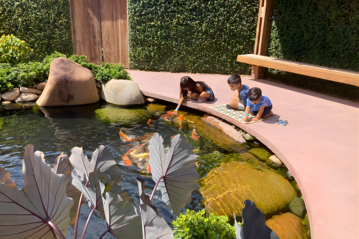 Passeio tranquilo nas trilhas do Jardim dos Hemerocallis em Joinville.