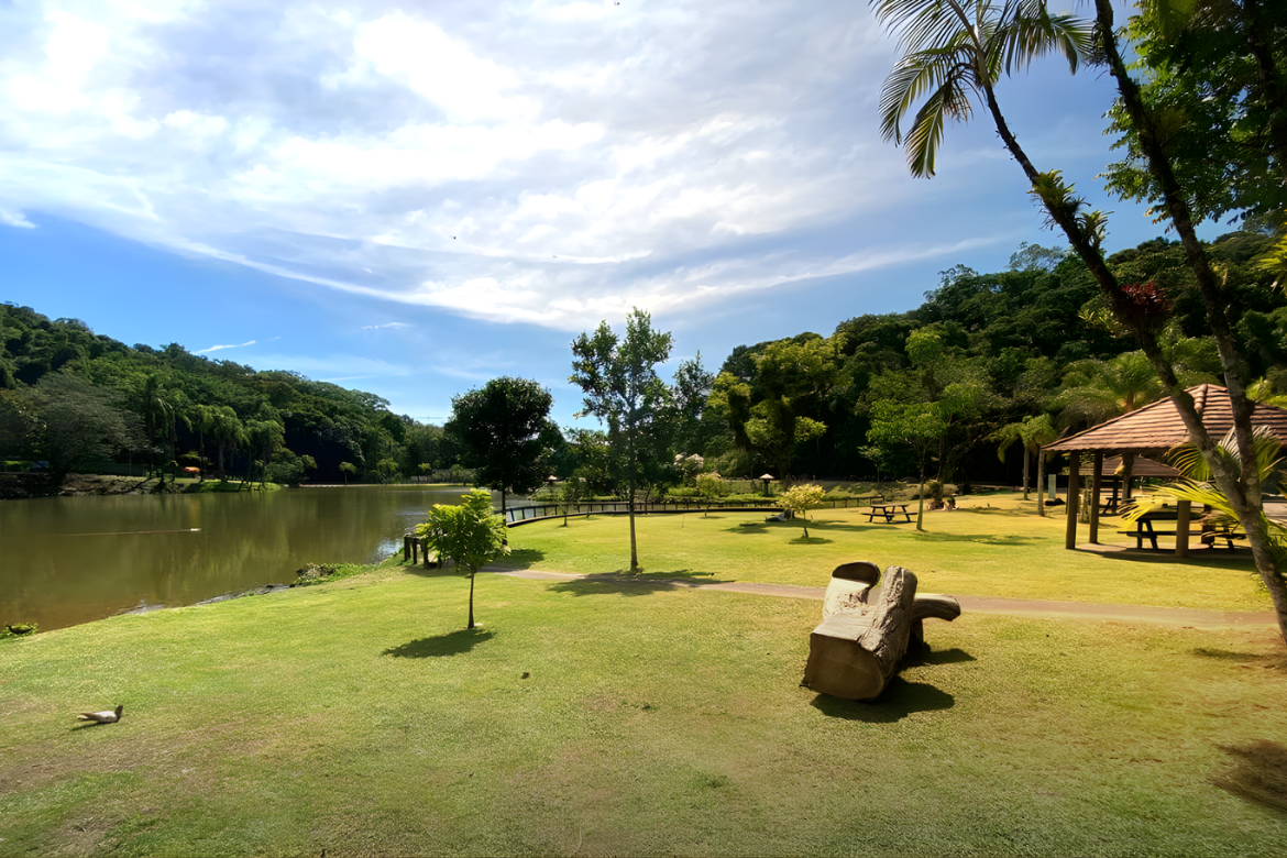 Equilíbrio entre preservação da Mata Atlântica e desenvolvimento urbano em Joinville.